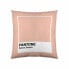 Cushion cover Sweet Peach Pantone 50 x 50 cm