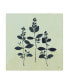 Фото #1 товара Julia Purinton Botanical Study IV Sage Canvas Art - 15.5" x 21"