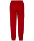 ფოტო #2 პროდუქტის Little Boys Metallic Gifting Fleece Pants