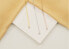 Minimalist gold-plated necklace with zircon NCL73Y