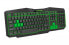 ESPERANZA EGK201G - Full-size (100%) - USB - QWERTY - Black - Green