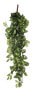 Фото #2 товара Искусственные цветы MICA Decorations Мозаичные растения Fittonia