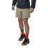 DYNAFIT Alpine Pro 2 In 1 shorts