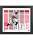 Фото #1 товара Lavonte David Tampa Bay Buccaneers Framed 15" x 17" Player Panel Collage