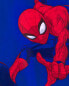 Фото #8 товара Kid Spider-Man Rashguard 7