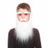 Фото #2 товара Карнавальный костюм My Other Me Накладная борода Белый