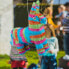 Pinata Esel bunt