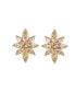 Silver-Tone Champagne Flower Cluster Earrings