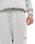 Фото #10 товара AllSaints Underground drawstring joggers in light grey