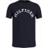 Фото #1 товара Футболка мужская Tommy Hilfiger MW0MW34432DW5