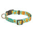 ფოტო #2 პროდუქტის FREEDOG Pineapple Breeze Collar