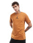 Jordan Jumpman centre logo t-shirt in brown