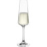 Фото #5 товара Champagnerglas Paladino 6er Set