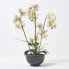 Фото #6 товара Künstliche weiße Phalaenopsis-Orchidee