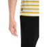 ICEBREAKER Drayden Stripe short sleeve T-shirt