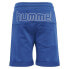 HUMMEL Neal Shorts