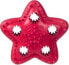 Barry King Gwiazda na przysmaki czerwona 12,5cm