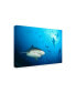 Фото #2 товара Alexander Safonov Beqa Shark Labs Canvas Art - 15" x 20"