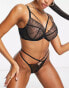 Wolf & Whistle Exclusive Fuller Bust floral embroidered mesh plunge bra with strapping in black