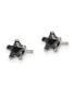 Stainless Steel Polished Black Star CZ Stud Earrings