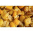 Фото #3 товара MIVARDI Scopex 2.5kg Corn