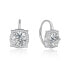 Silver glittering earrings AGUC2694