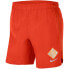 Фото #1 товара Nike Challenger Short GX M CU6001-891