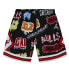 MITCHELL & NESS NBA SLAP STICKER SWINGMAN SHORT CHICAGO BULLS 1997