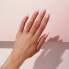 Artificial nails Daisy (Salon Nails) 24 pcs