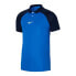 Фото #1 товара Nike Dri-FIT Academy Pro M DH9228-463 Polo