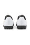 Rapido Iıı Tt Erkek Beyaz Halı Saha Spor Ayakkabı - 106574-04