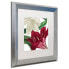 Фото #1 товара Color Bakery 'Christmas Amaryllis Ii' Matted Framed Art, 16" x 16"