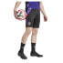 Фото #4 товара ADIDAS Germany 23/24 Shorts Training