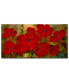 Rio, 'Poppies' Canvas Art - 47" x 24"