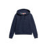 SUPERDRY Essential Logo hoodie