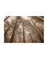 Фото #1 товара Monte Nagler Forest Under Sky Sepia Tone Canvas Art - 37" x 49"
