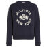 Фото #1 товара TOMMY HILFIGER Mdn Varsity Flock Regular Fit sweatshirt