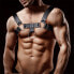 Фото #1 товара Костюм для БДСМ INTOYOU BDSM LINE Domine мужской грудной пояс из веганской кожи