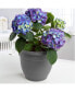 AP20908 Ariana Plastic Planter w/ Self-Watering Disk, Charcoal, 20 inches