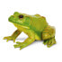 Фото #1 товара Фигурка жабы American Bullfrog SAFARI LTD