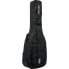 Ritter Arosa Acoustic Bass SBK