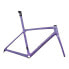 Фото #1 товара GIANT TCR Advanced SL Disc 2024 Road Frame