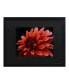 Kurt Shaffer Red Dhalia Matted Framed Art - 15" x 20"