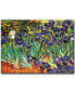 Фото #1 товара Vincent van Gogh 'Irises at Saint-Remy' Canvas Art - 47" x 35"