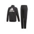 Фото #2 товара Спортивный костюм Adidas JR Essentials Tric