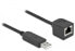 Фото #1 товара Delock Serial Connection Cable with FTDI chipset - USB 2.0 Type-A male to RS-232 RJ45 female 25 cm black - Black - 0.25 m - USB Type-A - Male - Female - Straight