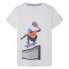 ფოტო #1 პროდუქტის HACKETT Racket Jump short sleeve T-shirt