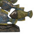 Фото #4 товара Декоративная фигура Синий Коричневый Зеленый Рыбы 60 x 11,5 x 52 cm