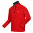 Фото #3 товара REGATTA Thompson fleece