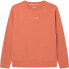 Фото #1 товара PEPE JEANS Davide Sweatshirt